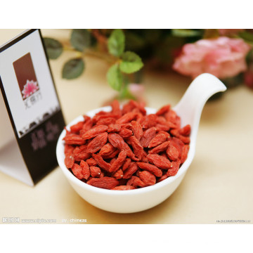 Lycium Barbarum Goji Beere Von Ningxia China